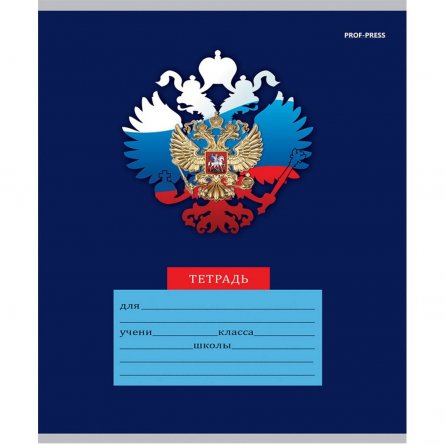 Тетрадь 12л., частая косая линия, Проф-Пресс, скрепка, блок офсет, мелованный картон "Микс-5788", 5 дизайнов в спайке фото 2