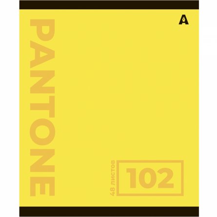 Тетрадь 48л., А5, клетка, Alingar "Pantone", скрепка, мелованый  картон ( стандарт), блок офсет, 5 дизайнов в пленке т/у фото 4