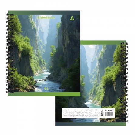 Тетрадь 96л., А5, клетка, Alingar, гребень, блок офсет, мелованный картон, "Пейзажи", 2 дизайна в пленке т/у фото 2