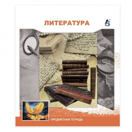 Тетрадь предметная "Литература" А5 36л., со справочным материалом, на скрепке, мелованный картон, Alingar фото 1
