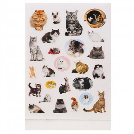Альбом с наклейками Проф-Пресс "Кошки", А5, 100  шт., обл. цв. мел. карт. фото 3