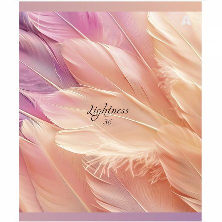 Тетрадь 36 л., А5, линия, Alingar "Lightness", скрепка, офсет,  мелованная бумага, 5 дизайнов в пленке т/у фото 7