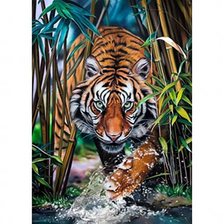 Картина по номерам Рыжий кот, 40х50 см, с акриловыми красками, холст, "Красивый тигр" фото 1