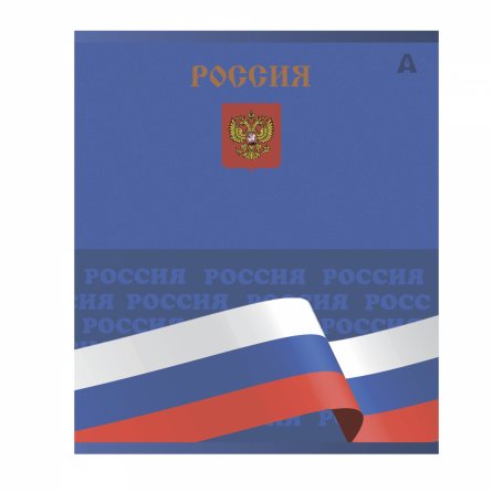 Тетрадь 48л, А5, клетка, Alingar, "Символика России", скрепка,мелованный картон (стандарт), выб УФ лак,  блок офсет, 5 дизайнов в пленке т/у фото 5