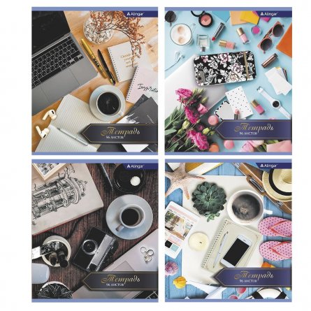 Тетрадь 96л., А5, клетка, Alingar "Office", скрепка, мелованный картон (стандарт), блок офсет, 4 дизайна в пленке т/у фото 1