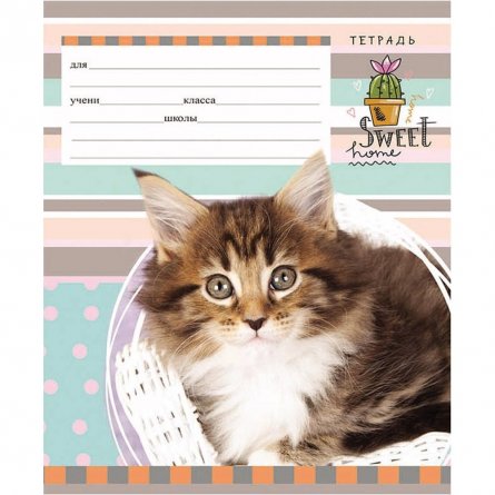 Тетрадь 12л., линия, Проф-Пресс "Пушистый котенок", скрепка, мелованный картон фото 2
