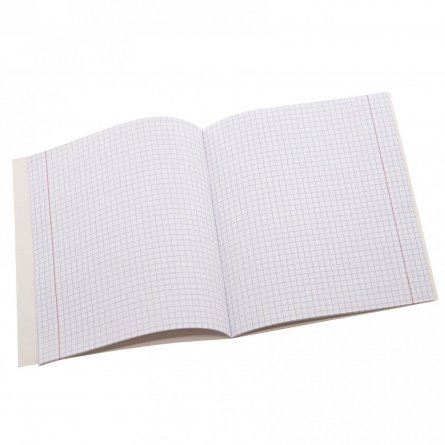 Тетрадь предметная "Физика" А5 48л., со справочным материалом, скрепка, мелованный картон (стандарт), блок офсет, Alingar "Классика" фото 3