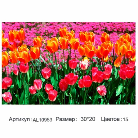 Алмазная мозаика Alingar, на подрамнике, с полным заполнением, (матов.) 20х30 см, 15 цветов, "Тюльпаны" фото 1
