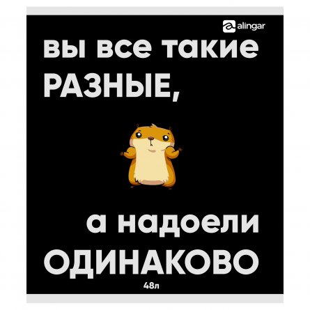 Тетрадь 48л, А5, клетка, Alingar, "Настроение: Хомяк ", скрепка, мелованный картон, выб УФ лак,  блок офсет, 5 дизайнов в пленке т/у фото 6