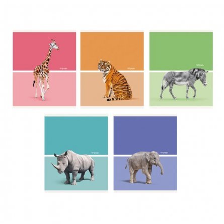 Тетрадь 48л., А5, клетка, Канц-Эксмо "Wild animals", скрепка, мелованный картон, 5 дизайнов фото 1