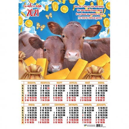 Календарь настенный листовой А2, Квадра "Символ года бык" 2021 г. фото 1