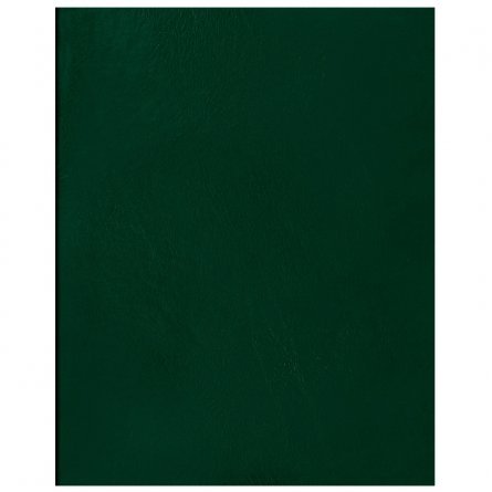 Тетрадь 48л., А5, клетка, Полином , скрепка, обложка бумвинил, тёмно-зелёный фото 1