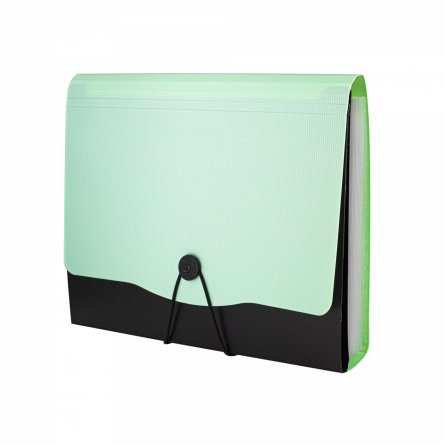 Папка-картотека Alingar, A4, 330х250 мм, на пуговице, пластик, 600 мкм, 13 отделений, папка-планшет, мятный клапан фото 2