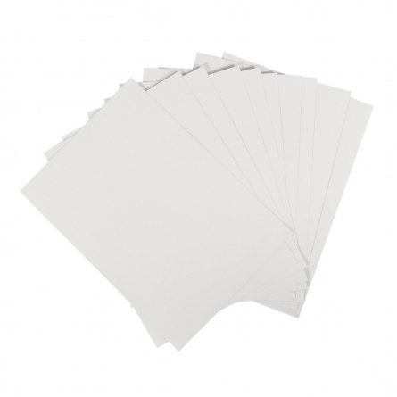Картон белый  А4, мелованный, 10 листов, картонная папка, "Джунгли" фото 2