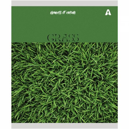 Тетрадь 96л., А5, клетка, Alingar "Elements of nature", скрепка, мелованный картон (стандарт), блок офсет, 5 дизайнов в пленке т/у фото 4