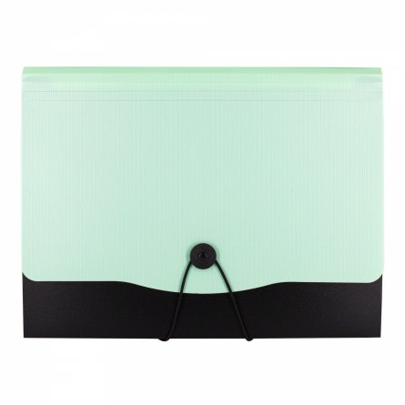 Папка-картотека Alingar, A4, 330х250 мм, на пуговице, пластик, 600 мкм, 13 отделений, папка-планшет, мятный клапан фото 1