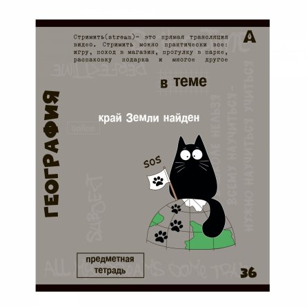 Комплект предметных тетрадей А5 36л.,10 предметов, со справочным материалом, скрепка, мелованный картон (стандарт), блок офсет, Alingar "Тема" фото 4