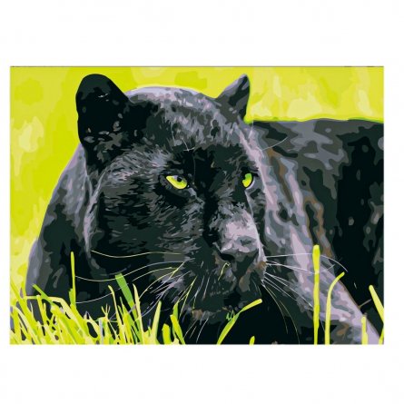 Картина по номерам Рыжий кот, 30х40 см, с акриловыми красками, холст, "Пантера" фото 1