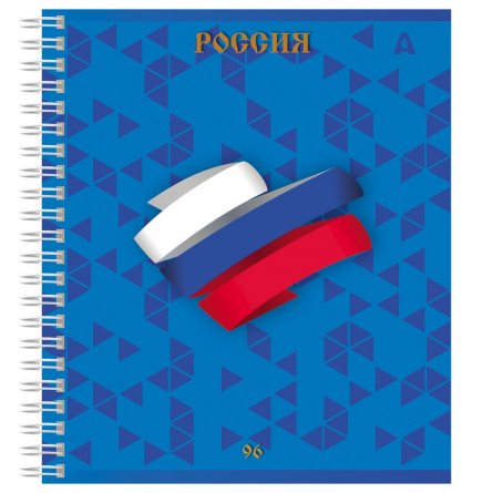 Тетрадь 96л., А5, клетка, Alingar, "Россия", гребень, блок офсет, мелованный картон, 2 дизайна в пленке т/у фото 3