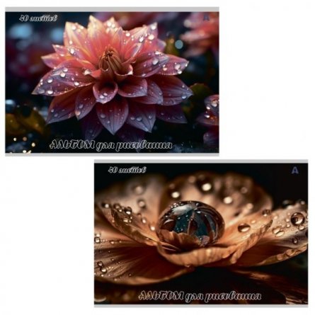 Альбом для рисования А4 40л., Alingar, на скрепке, мелованный картон (стандарт), 100 г/м2,  "Цветы", 2 дизайна в пленке т/у фото 1