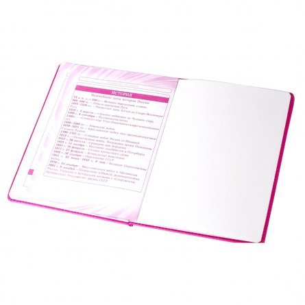 Дневник школьный Alingar 1-11 кл., 48л., 7БЦ, иск.кожа, тиснение, "Цветы" Pink фото 9