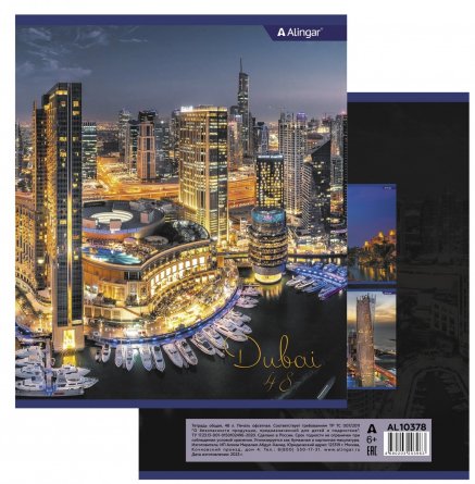 Тетрадь 48л., А5, линия, Alingar "Дубай", скрепка, мелованный картон (стандарт), блок офсет, 2 дизайна в пленке т/у фото 5