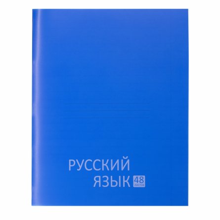 Комплект предметных тетрадей А5 48л., 12 предметов, со справ. матер, скрепка, цветная пластиковая обложка, блок офсет, Alingar "Стильная классика" фото 4
