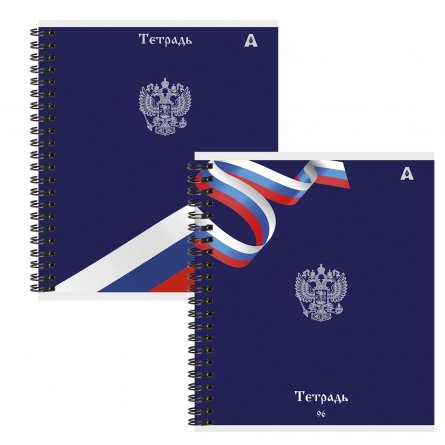 Тетрадь 96л., А5, клетка, Alingar, "Символы России", гребень, блок офсет, мелованный картон, 2 дизайна в пленке т/у фото 1