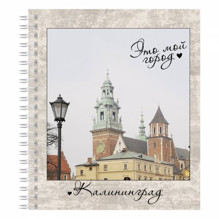 Тетрадь А5 48л., клетка, Alingar, гребень, блок офсет, мелованный картон (стандарт), "Города России", 4 дизайна в пленке т/у фото 4