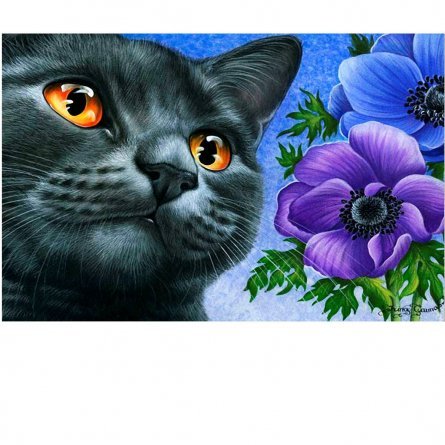 Алмазная мозаика Alingar, на подрамнике, с полным заполнением, (матов.), 40х50 см, 19 цветов, "Кот и цветы" фото 1