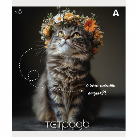 Тетрадь 48л., А5, клетка, Alingar "Кошки", скрепка, мелованый  картон ( стандарт), блок офсет, 5 дизайнов в пленке т/у фото 3