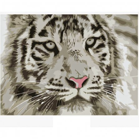 Картина по номерам Рыжий кот, 22х30 см, с акриловыми красками, холст, "Белый тигр" фото 1