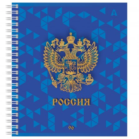 Тетрадь 96л., А5, клетка, Alingar, "Россия", гребень, блок офсет, мелованный картон, 2 дизайна в пленке т/у фото 2