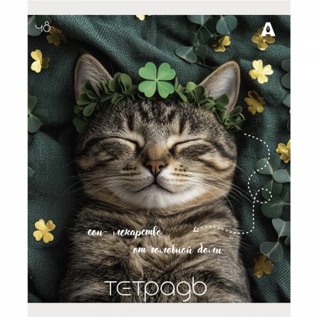 Тетрадь 48л., А5, клетка, Alingar "Кошки", скрепка, мелованый  картон ( стандарт), блок офсет, 5 дизайнов в пленке т/у фото 7