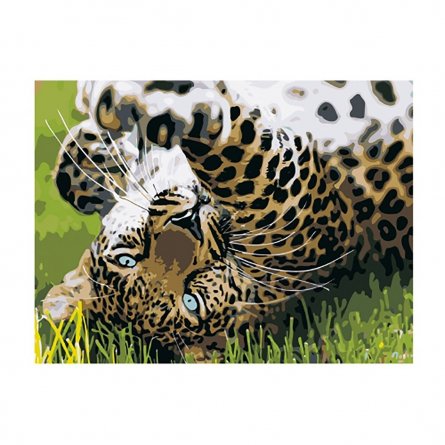 Картина по номерам Рыжий кот, 30х40 см, с акриловыми красками, холст, "Игривый гепард" фото 1