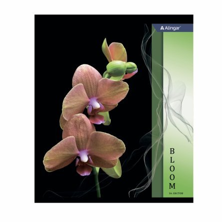 Тетрадь 36 л., А5, клетка, Alingar "Орхидеи", скрепка,  мелованный картон, 4 дизайна в пленке т/у фото 8