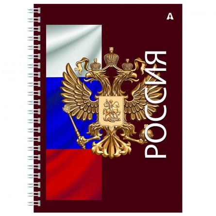 Тетрадь 96л., А4, клетка, Alingar, гребень, блок офсет, мелованный картон, "Россия" фото 2