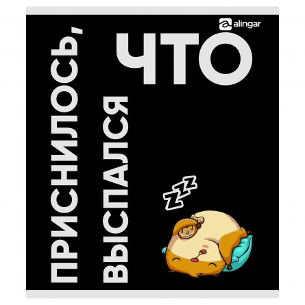 Тетрадь 48л, А5, клетка, Alingar, "Настроение: Хомяк ", скрепка, мелованный картон, выб УФ лак,  блок офсет, 5 дизайнов в пленке т/у фото 5