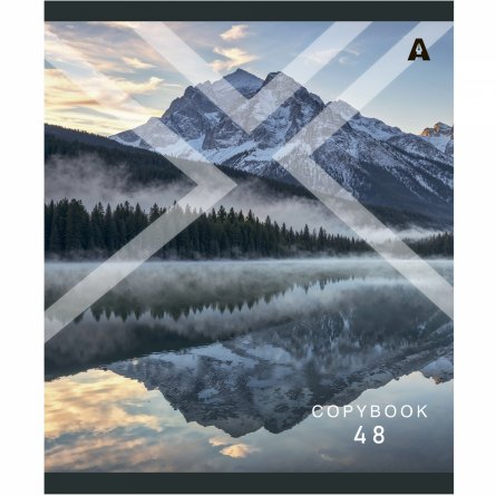 Тетрадь 48л., А5, клетка, Alingar "Необычный пейзаж", скрепка, мелованый  картон ( стандарт), блок офсет, 5 дизайнов в пленке т/у фото 3