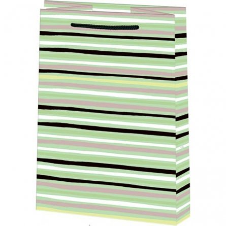 Пакет подарочный бумажный Мир открыток 18*22,7 см  (М), "Линии", ламинация фото 1