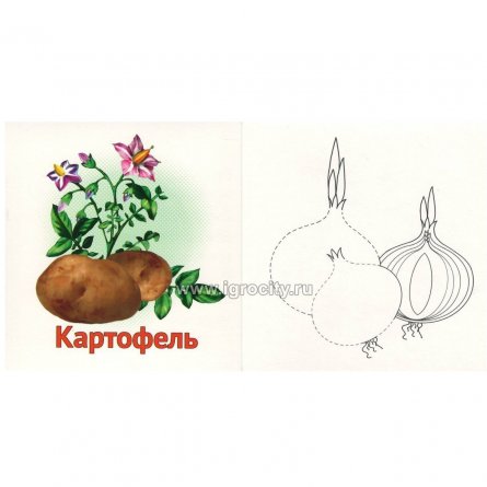 Дидактические карточки, тематические, Ракета, "Овощи" фото 2