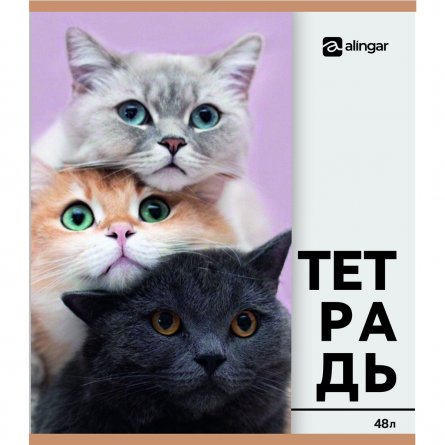 Тетрадь 48л., А5, клетка, Alingar "Собачки-кошечки", скрепка, мелованный  картон, блок офсет, 5 дизайнов в пленке т/у фото 6