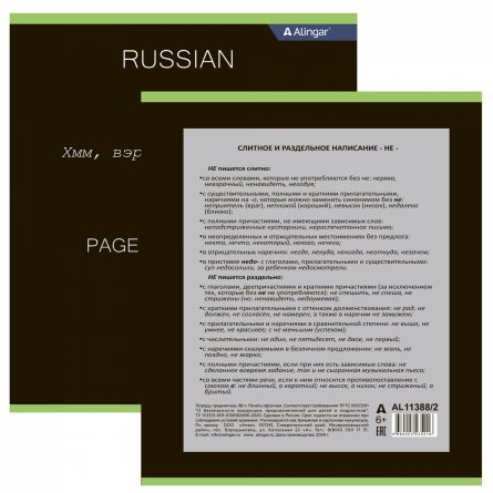 Тетрадь предметная "Русский язык" А5 48л., линия, со справочным материалом, скрепка, мелованный картон (стандарт), блок офсет, Alingar "Loading" фото 2