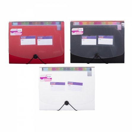Папка-картотека на пуговице  Alingar, A4, "Office", 330х240х33 мм, 1600 мкм,13 отделений, два кармана для визиток, ассорти, матовая, текстура фото 1