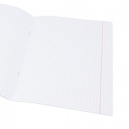 Тетрадь предметная 48л., А5, клетка, Проф-Пресс "Обществознание. Графема" , скрепка, мелованный картон, выб. лак, твин-лак, офсет фото 2