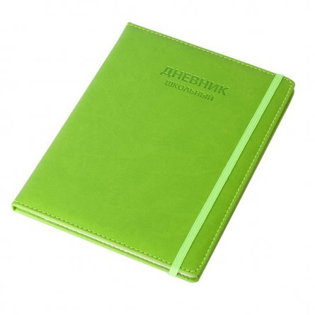 Дневник школьный Alingar 1-11 кл., 48л., 7БЦ, иск.кожа,  поролон,тиснение, закругленные углы, на резинке, "Classic style" Green фото 3