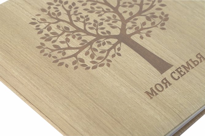 Фотоальбом, Alingar, 27 х 28 х 2,7 см, "Моя семья", 20 листов, бежевый, для 40 фото до формата 22х27 см, текстура дерево, картонная коробка фото 4