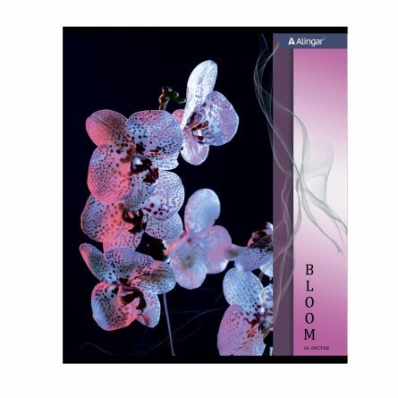 Тетрадь 36 л., А5, клетка, Alingar "Орхидеи", скрепка,  мелованный картон, 4 дизайна в пленке т/у фото 6