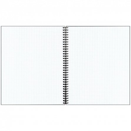 Тетрадь 80л., А5, клетка Канц Эксмо "Hungry", гребень, мел. картон, тисн.фольгой фото 2