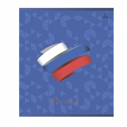 Тетрадь 48л, А5, клетка, Alingar, "Символика России", скрепка,мелованный картон (стандарт), выб УФ лак,  блок офсет, 5 дизайнов в пленке т/у фото 4